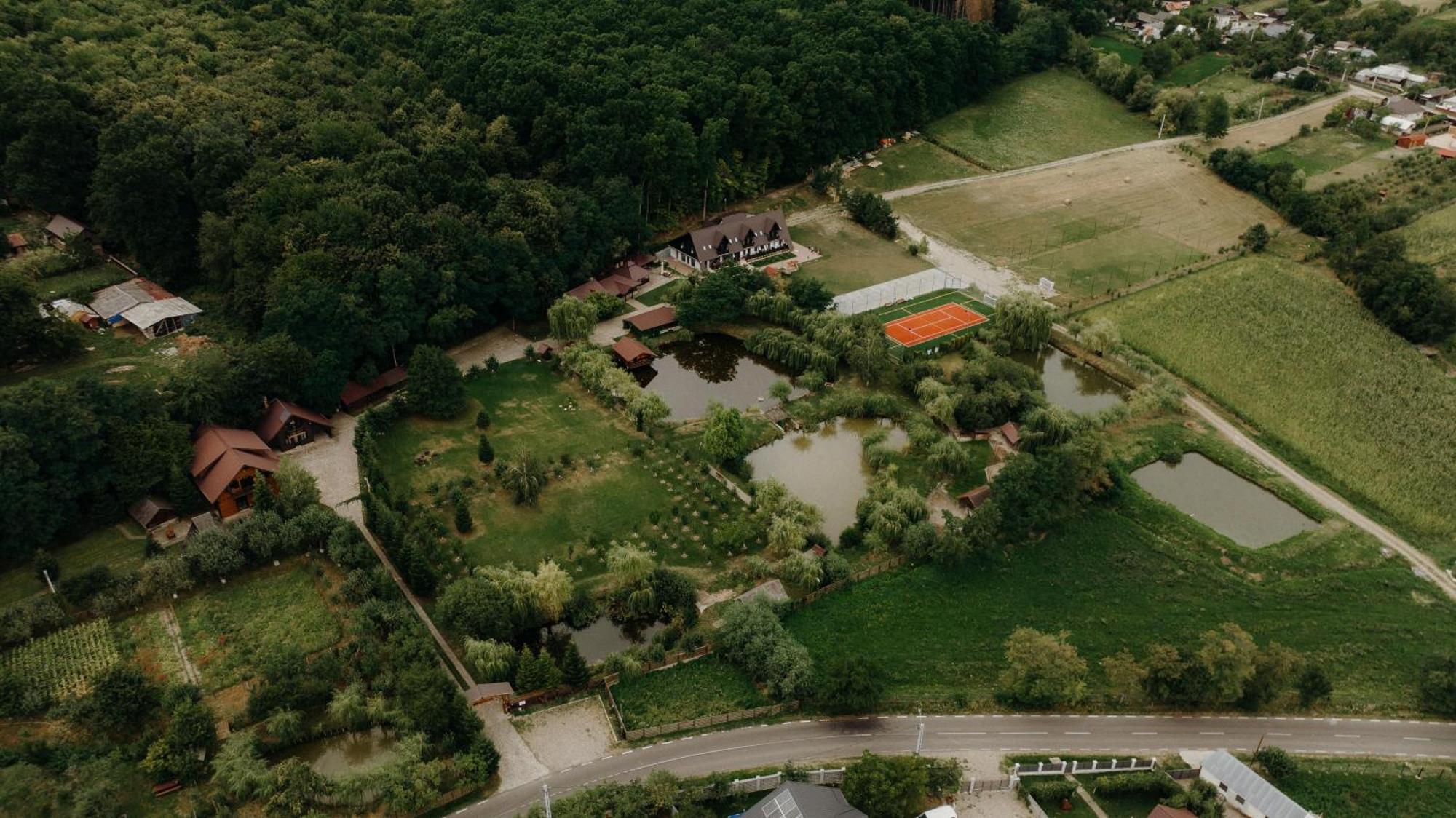 Cabana Paradisul Verde Neamt Târgu Neamț Eksteriør billede